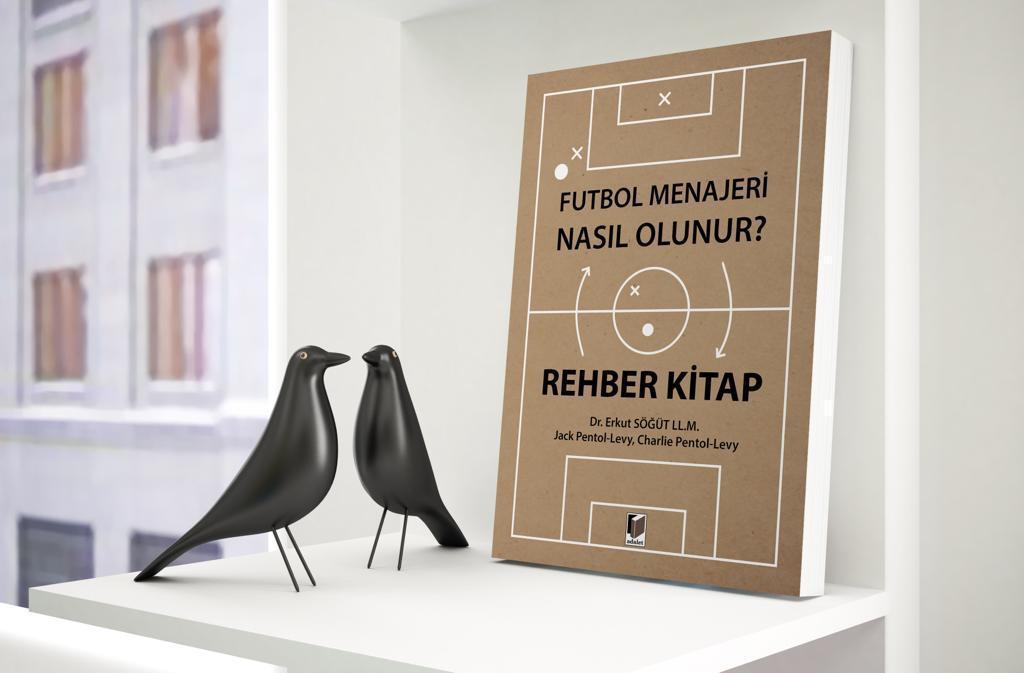 Erkut Söğüt: Mesut Özil Türkiyeye gelebilir