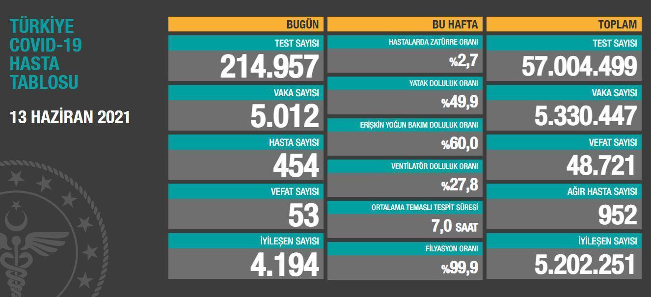 13 Haziran koronavirüs tablosu...Koronavirüs vaka ve vefat sayısı kaç oldu Güncel koronavirüs vakaları