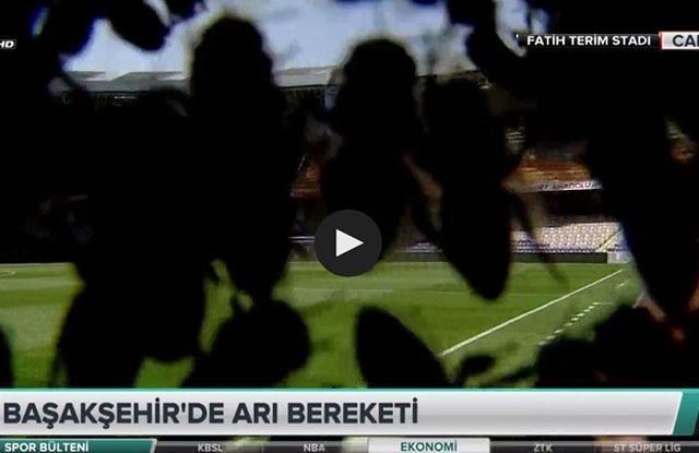 Başakşehir-Fenerbahçe maçı öncesi arılar stadı bastı