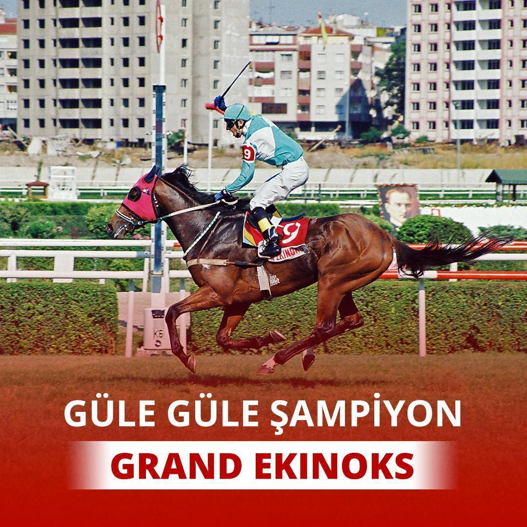 Şampiyon Grand Ekinoks öldü