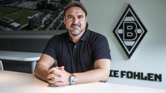 Son dakika | Daniel Farke, Borussia Mönchengladbach'ın başına geçti