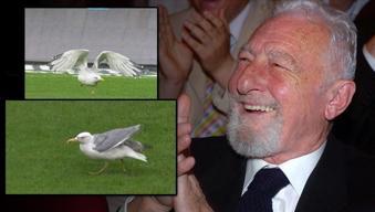 Beşiktaş - Samsunspor maçına damga vuran 'Martı'! Süleyman Seba'nın sözleri gündem oldu: 'Bir gün sizi özlersem...'