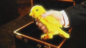 Beşiktaş'tan gündem olan Fenerbahçe paylaşımı!