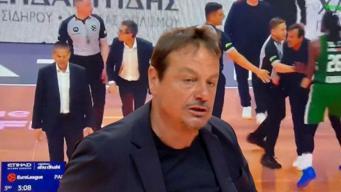 Ergin Ataman'ı zor tuttular! OAKA'da gerginlik, iki koça da diskalifiye... Panathinaikos - Valencia maç sonucu 87-91