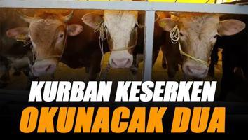 Kurban kesim duası Diyanet: Kurban keserken okunacak dua hangisidir?