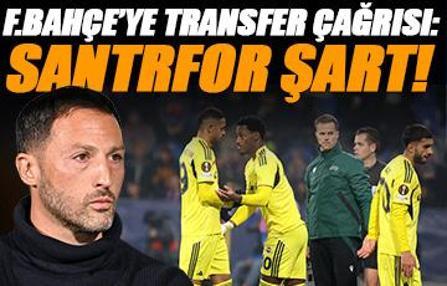 Erman Özgür: Fenerbahçe santrfor almak zorunda