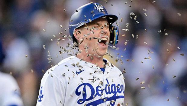 Dodgers Secure Series Split with Strong Performance Against Giants