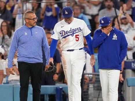 Dodgers First Baseman Freddie Freeman Listed as Day-to-Day Following Dugout Fall