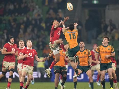 Wallabies Face Eden Park Reality Check in Bledisloe Cup Opener