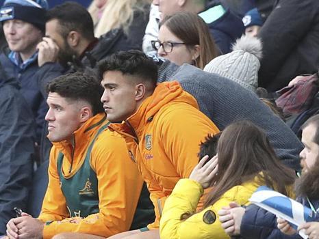 Wallabies Back Suaalii Endorses Wing Switch as Path to Becoming Complete Player