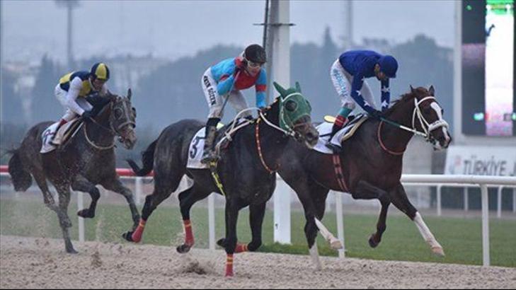 Oğuz Dağlaroğlu'nun Kinowa'sı 7 startında 6. kez kazandı