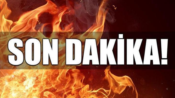 Son dakika Alex neden geldiğini açıkladı