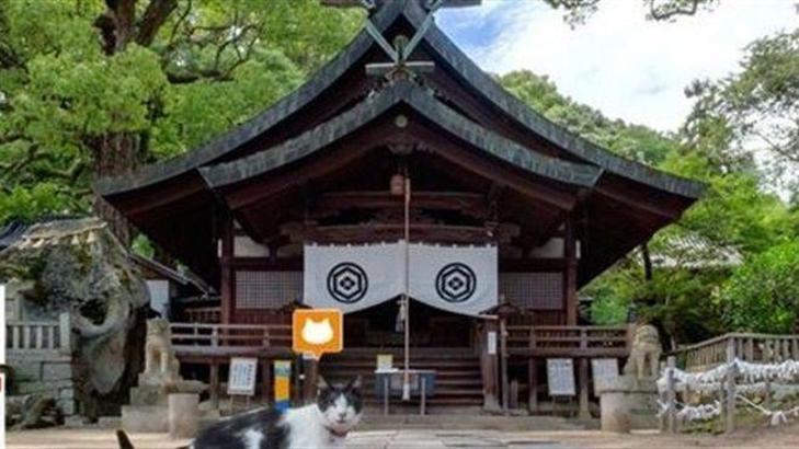 Japon işi Street View!