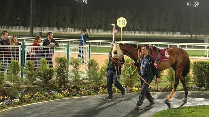 4. Özgecan Aslan Koşusu Adana'da yapıldı