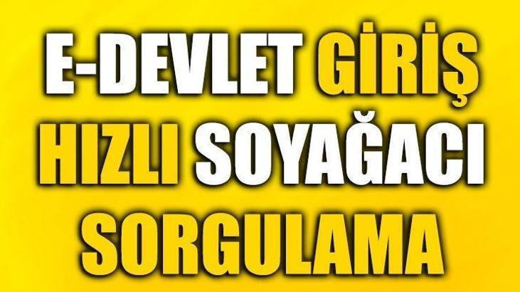 Soyağacı öğrenme çok kolay! Edevlet giriş Alt-üst soy bilgisi