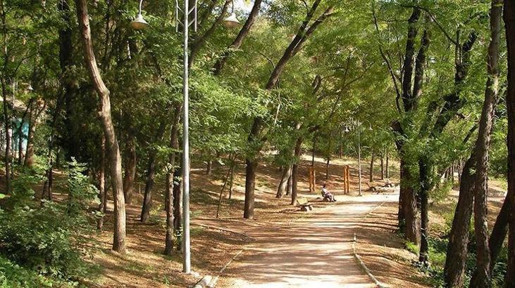 Maçka Parkı neden kapatıldı? Ağaçlar işaretleniyor...