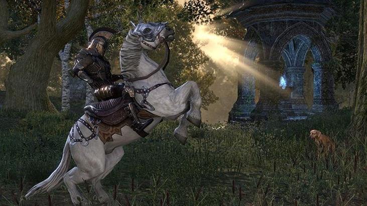 Mustafa Cengiz'in oynadığı The Elder Scrolls Online nedir? ESO nedir?