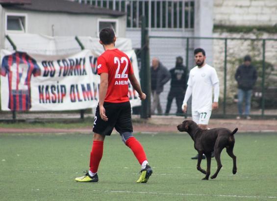 Amatör Lig'de davetsiz misafir