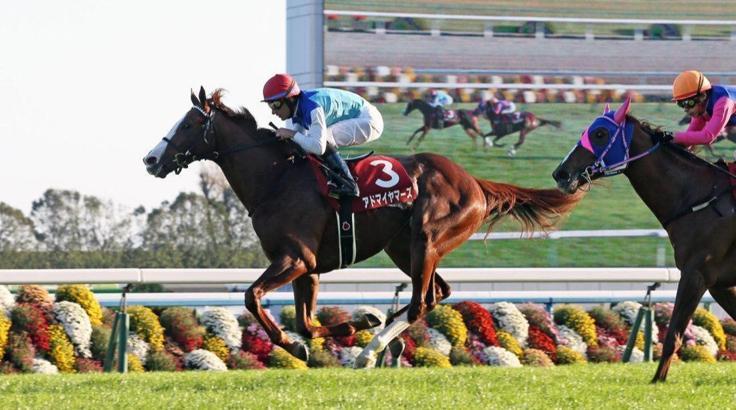 70. Futurity Stakes'i ADMIRE MARS kazandı