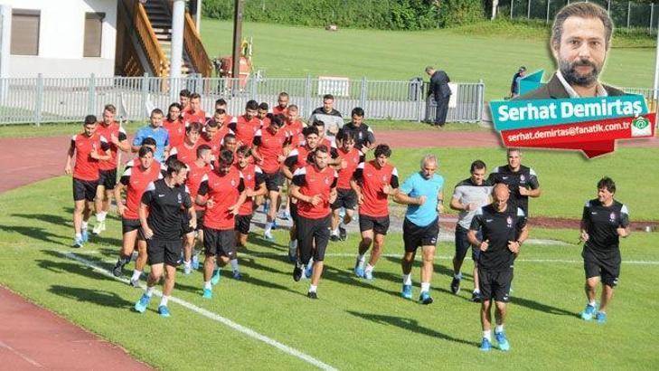 Avusturya günlüğü