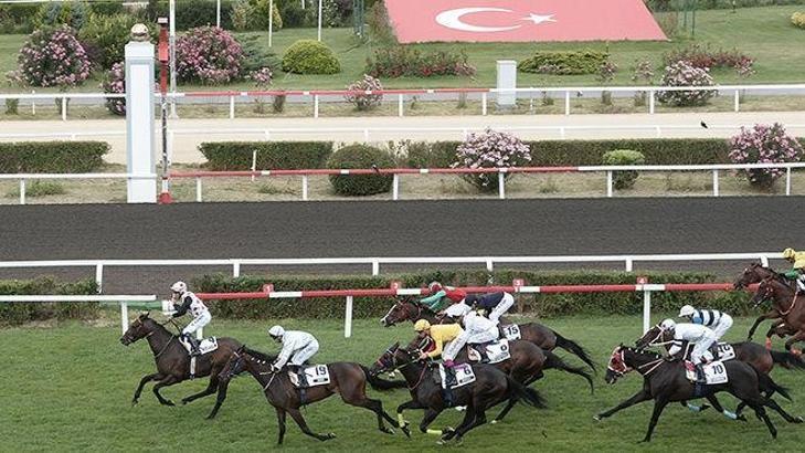 İşte 88. Gazi Koşusu'nun galibi