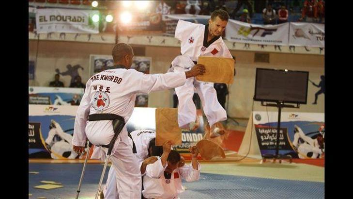 Avusturya Açık Taekwondo Turnuvası sona erdi