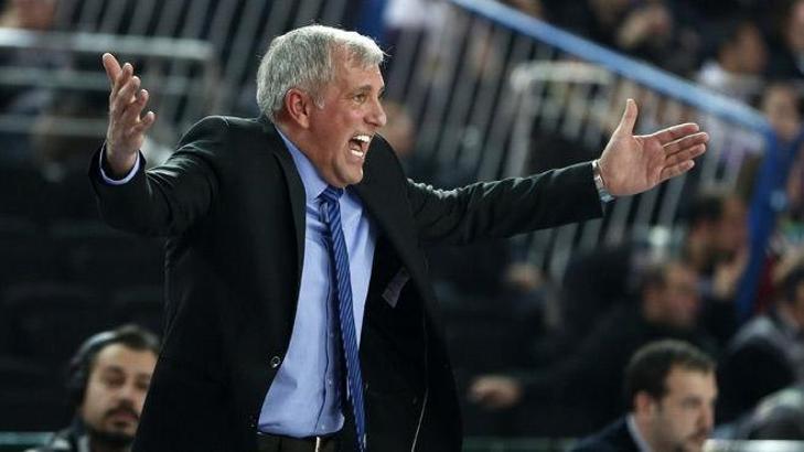 Obradovic: Sahada holiganlar var