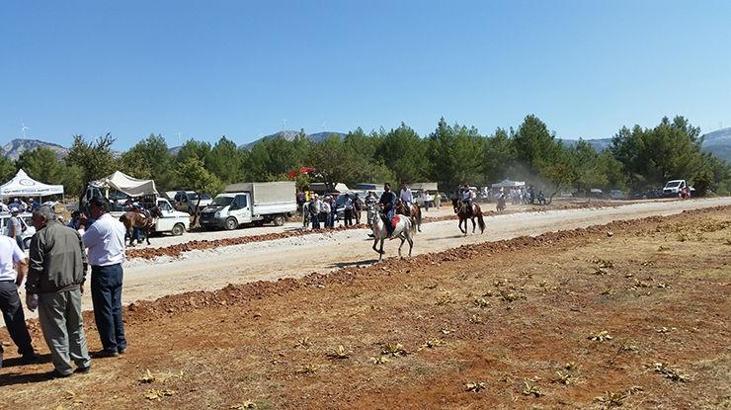 Muğla Menteşe at yaşıları yapıldı