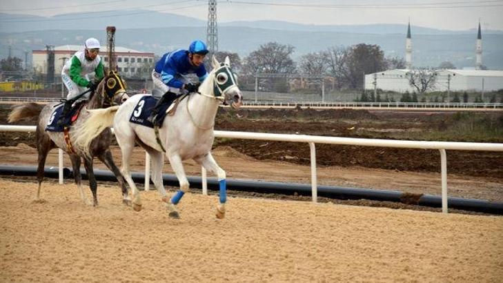 İlk yarışlar koşuldu