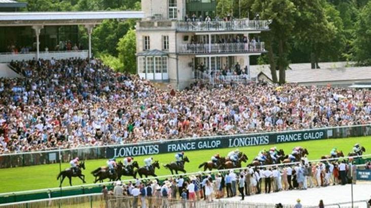 Milyon dolarlık atlar, İstanbul'daki festivalde yarışacak