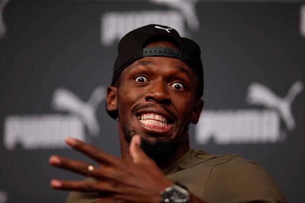 Bolt: