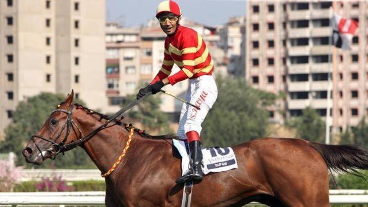 Taliphan kazanmayı sürdürdü.