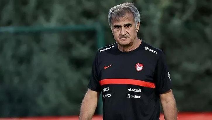 Fanatik yazarları Şenol Güneş'in ayrılığına ne dediler?
