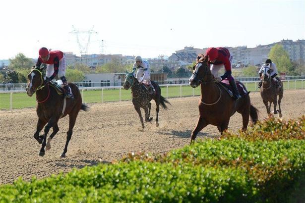 Bursa at yarış tahminleri - Şair Gençero'nun yorumları