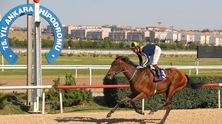 Ankara at yarış tahminleri - Şair Gençer O'nun yorumları