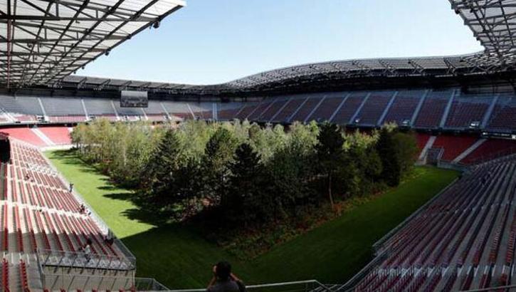 Futbol sahasını ormana çevirdiler