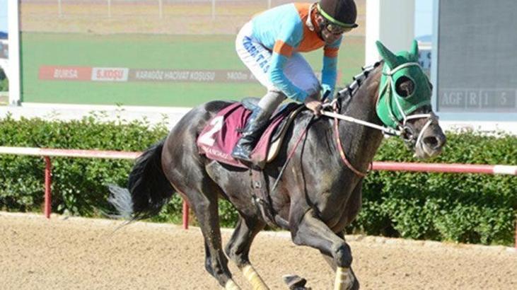 Kum pistin Şampiyonu KINOWA, Bursa'da geçilmedi