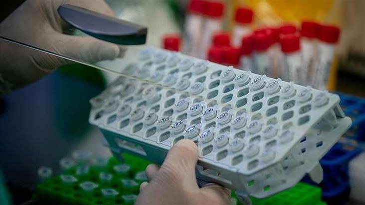 Corona virüs hastalarının yüzde 40'ı hiç belirti göstermiyor