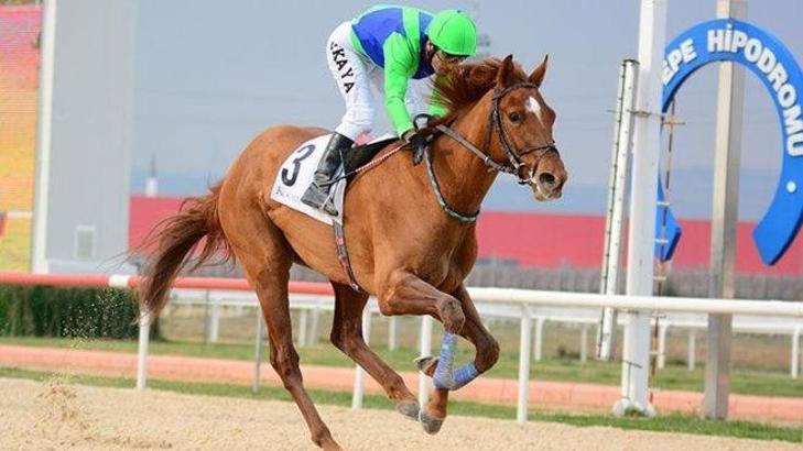 İzmir at yarışı tahminleri - 12 Mart Pazar