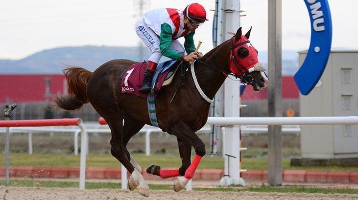 Kocaeli at yarış tahminleri - 3 Mart Cuma