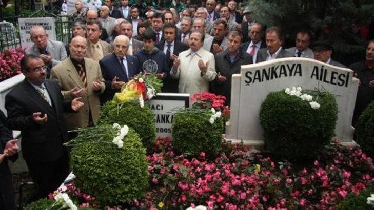 Ş