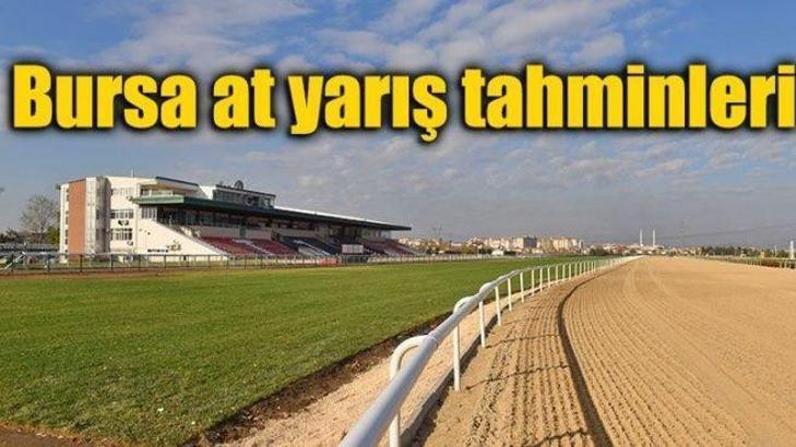 Bursa at yarış tahminleri - Gökhan Yalçınkaya'nın kuponu - 8 Şubat Çarşamba