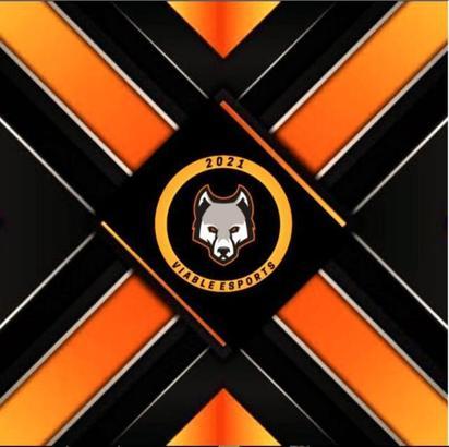 Espor sahnesine yeni bir takım katıldı: Viable Esports