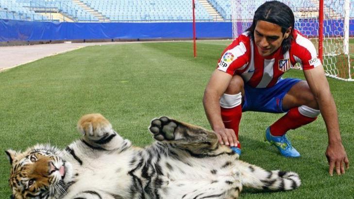 Radamel Falcao'ya neden