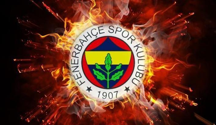 Fenerbahçe'de Altyapı seçmeleri 15-16 Haziran'da