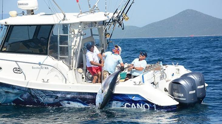 Didim, açık deniz sportif balık avı yarışmasına ev sahipliği yapacak