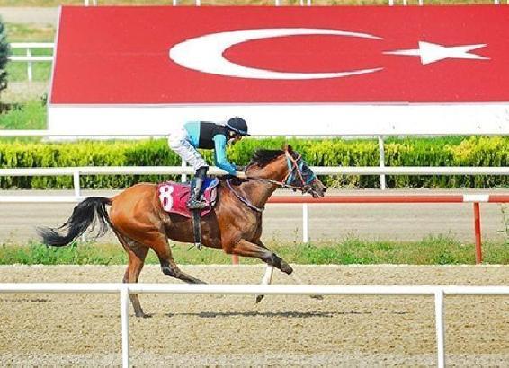 Nilüfer Belediye Başkanlığı Koşusu'nun galibi Kamus