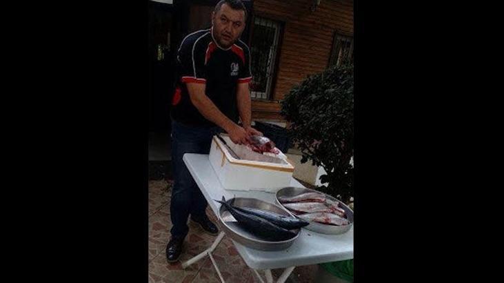 Galibiyet primi palamut...
