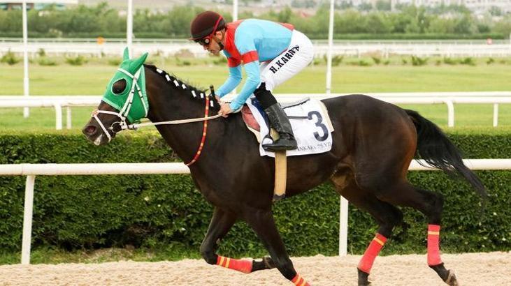 Oğuz Dağlaroğlu'nun atı 350 bin TL kazandı