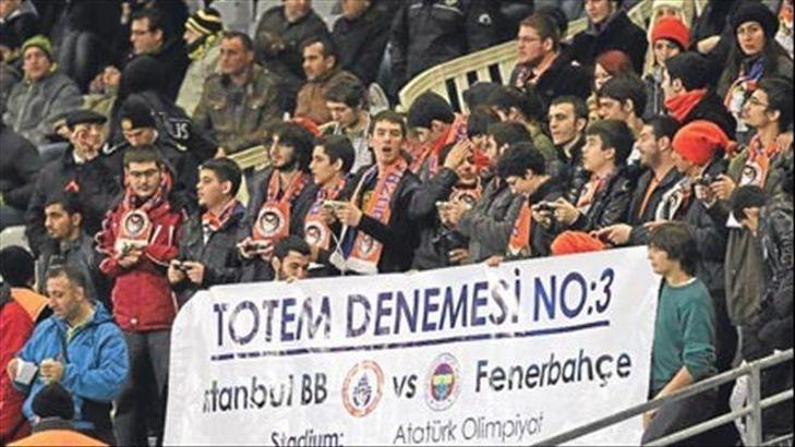 Boz Baykuşlar ve Bozbayankuşlar